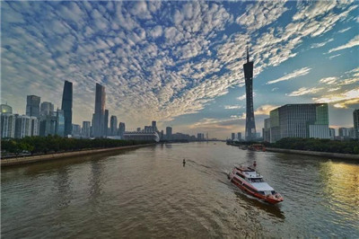 上海茶叶公司概述